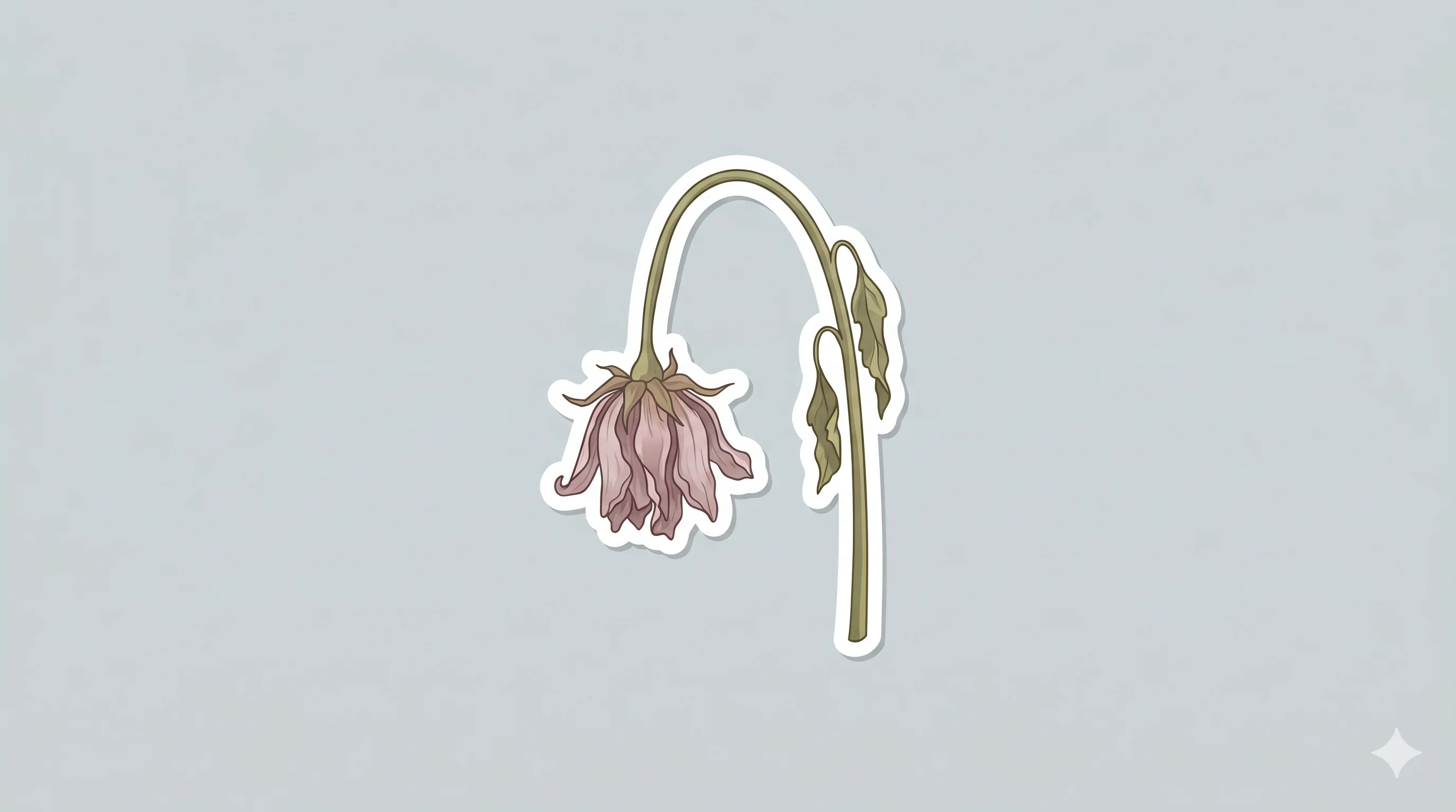 냉소 모드형 결과 미리보기
